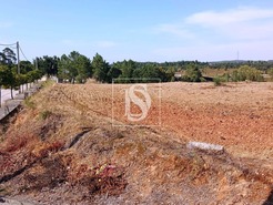 Terreno R�stico T0 - S�o Pedro de Tomar, Tomar, Santar�m - Miniatura: 9/16