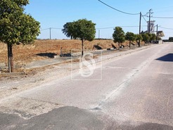 Terreno R�stico T0 - S�o Pedro de Tomar, Tomar, Santar�m - Miniatura: 10/16