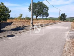 Terreno R�stico T0 - S�o Pedro de Tomar, Tomar, Santar�m - Miniatura: 11/16