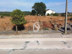 Terreno R�stico T0 - S�o Pedro de Tomar, Tomar, Santar�m - Miniatura: 12/16