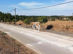Terreno R�stico T0 - S�o Pedro de Tomar, Tomar, Santar�m - Miniatura: 13/16