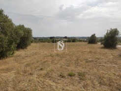 Moradia T2 - Paialvo, Tomar, Santarm - Miniatura: 3/7