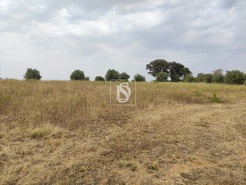 Moradia T2 - Paialvo, Tomar, Santarm - Miniatura: 4/7