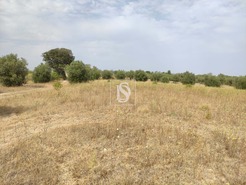 Moradia T2 - Paialvo, Tomar, Santarm - Miniatura: 5/7