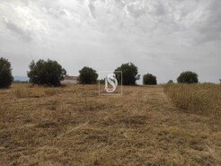 Moradia T2 - Paialvo, Tomar, Santarm - Miniatura: 7/7