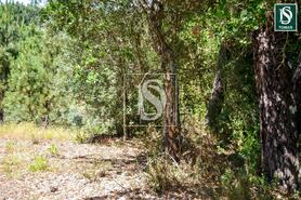 Moradia T3 - Serra, Tomar, Santar�m - Miniatura: 1/20