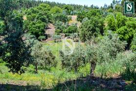 Moradia T3 - Serra, Tomar, Santar�m - Miniatura: 2/20