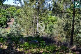 Moradia T3 - Serra, Tomar, Santar�m - Miniatura: 9/20