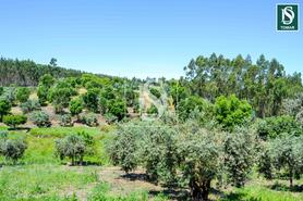 Moradia T3 - Serra, Tomar, Santar�m - Miniatura: 10/20