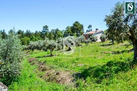 Moradia T3 - Serra, Tomar, Santar�m - Miniatura: 14/20