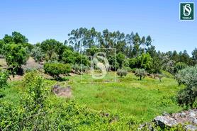 Moradia T3 - Serra, Tomar, Santar�m - Miniatura: 15/20