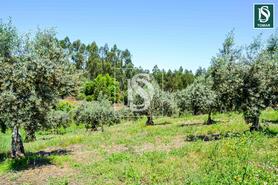 Moradia T3 - Serra, Tomar, Santar�m - Miniatura: 16/20