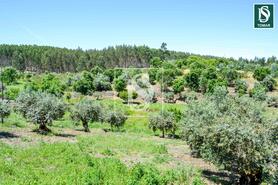 Moradia T3 - Serra, Tomar, Santar�m - Miniatura: 19/20