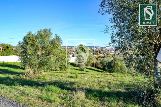 Terreno R�stico - Tomar, Tomar, Santar�m - Imagem grande