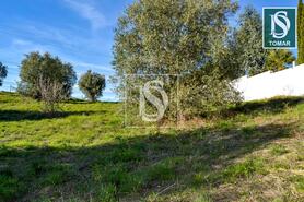 Terreno R�stico - Tomar, Tomar, Santar�m - Miniatura: 12/20