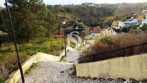 Terreno R�stico - Tomar, Tomar, Santar�m - Miniatura: 6/17