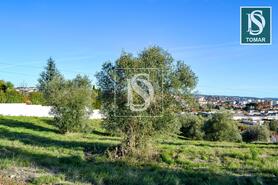 Terreno R�stico - Tomar, Tomar, Santar�m - Miniatura: 3/20