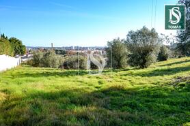 Terreno R�stico - Tomar, Tomar, Santar�m - Miniatura: 4/20