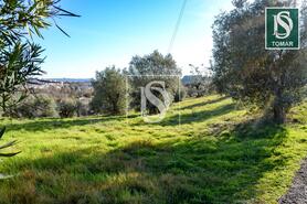 Terreno R�stico - Tomar, Tomar, Santar�m - Miniatura: 5/20