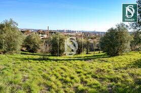 Terreno R�stico - Tomar, Tomar, Santar�m - Miniatura: 8/20