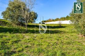 Terreno R�stico - Tomar, Tomar, Santar�m - Miniatura: 9/20