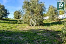 Terreno R�stico - Tomar, Tomar, Santar�m - Miniatura: 11/20
