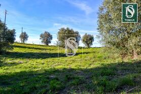 Terreno R�stico - Tomar, Tomar, Santar�m - Miniatura: 13/20
