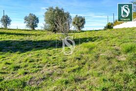 Terreno R�stico - Tomar, Tomar, Santar�m - Miniatura: 14/20