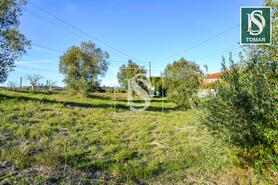 Terreno R�stico - Tomar, Tomar, Santar�m - Miniatura: 16/20