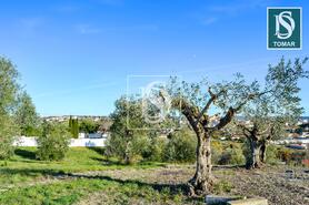 Terreno R�stico - Tomar, Tomar, Santar�m - Miniatura: 19/20