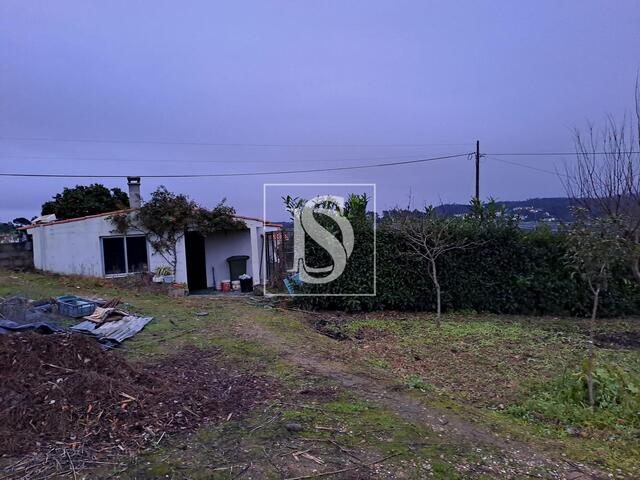 Terreno R�stico - S�o Pedro de Tomar, Tomar, Santar�m - Imagem grande