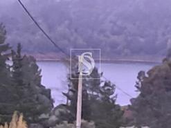 Terreno R�stico - S�o Pedro de Tomar, Tomar, Santar�m - Miniatura: 2/4