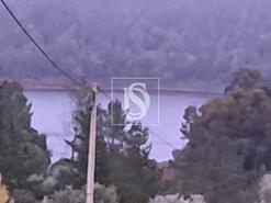 Terreno R�stico - S�o Pedro de Tomar, Tomar, Santar�m - Miniatura: 3/4