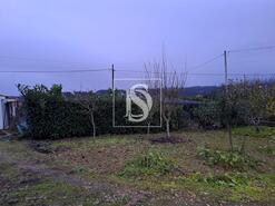 Terreno R�stico - S�o Pedro de Tomar, Tomar, Santar�m - Miniatura: 4/4
