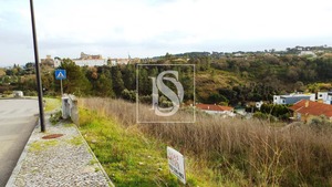 Terreno R�stico T0 - Tomar, Tomar, Santar�m - Miniatura: 4/17