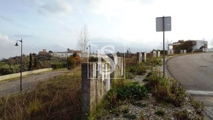 Terreno R�stico T0 - Tomar, Tomar, Santar�m - Miniatura: 13/17