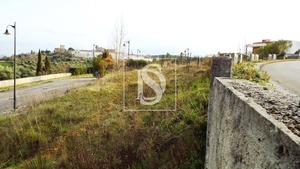 Terreno R�stico T0 - Tomar, Tomar, Santar�m - Miniatura: 17/17