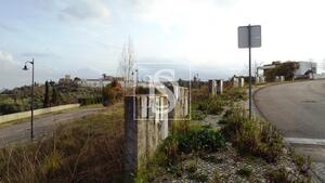 Terreno R�stico - Tomar, Tomar, Santar�m - Miniatura: 13/17