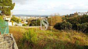 Terreno R�stico - Tomar, Tomar, Santar�m - Miniatura: 9/17