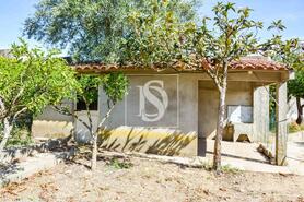 Moradia T4 - Tomar, Tomar, Santar�m - Miniatura: 17/20