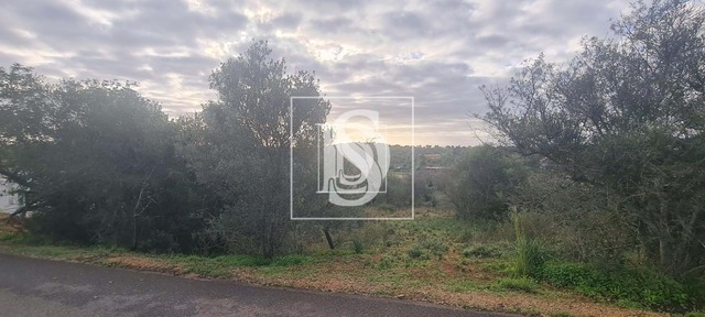 Terreno R�stico T0 - S�o Bartolomeu de Messines, Silves, Faro (Algarve) - Imagem grande