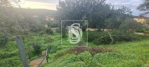 Terreno R�stico T0 - S�o Bartolomeu de Messines, Silves, Faro (Algarve) - Miniatura: 2/10