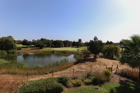 Moradia T3 - Silves, Silves, Faro (Algarve) - Miniatura: 37/39