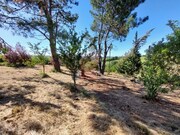Moradia T2 - Carvalhal, Bombarral, Leiria - Miniatura: 8/9