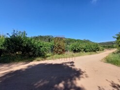 Terreno R�stico - A dos Negros, �bidos, Leiria