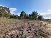 Terreno R�stico - Tornada, Caldas da Rainha, Leiria - Miniatura: 4/9
