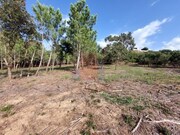 Terreno R�stico - Tornada, Caldas da Rainha, Leiria - Miniatura: 5/9