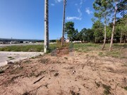 Terreno R�stico - Tornada, Caldas da Rainha, Leiria - Miniatura: 6/9