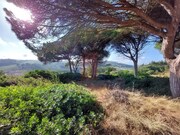 Terreno Rstico - A dos Francos, Caldas da Rainha, Leiria - Miniatura: 4/9