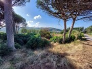 Terreno Rstico - A dos Francos, Caldas da Rainha, Leiria - Miniatura: 6/9